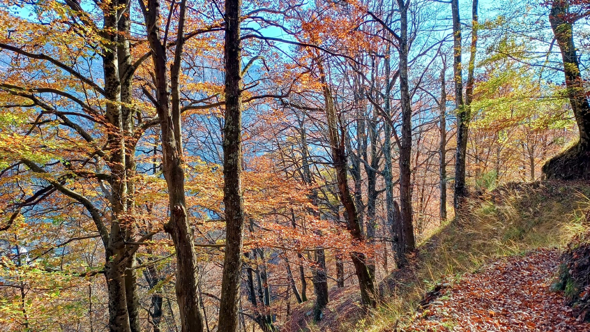 Foto di Alessandro Vecchi